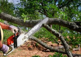 Best Utility Line Clearance  in Somerset, PA